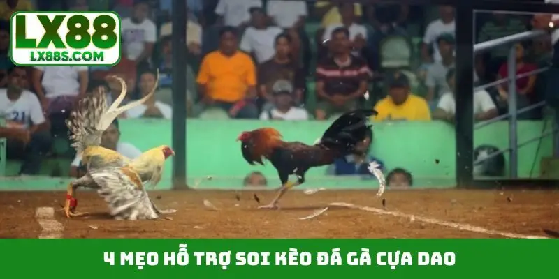 4 mẹo hỗ trợ soi kèo đá gà cựa dao