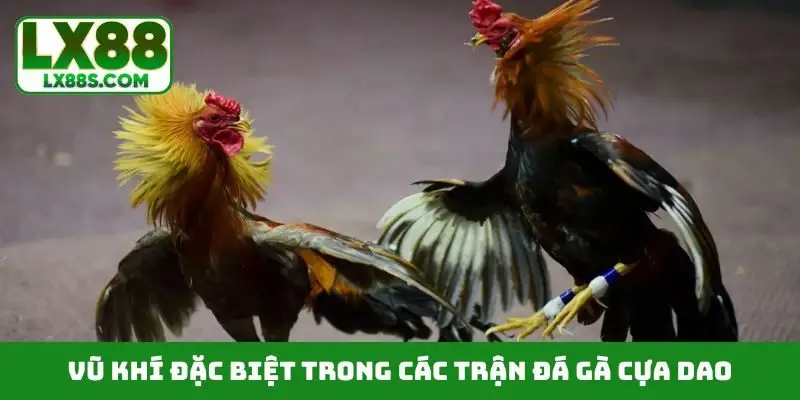 Vũ khí đặc biệt trong các trận đá gà cựa dao